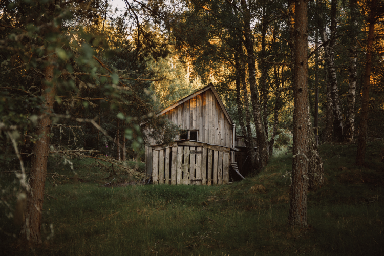 Wooden Hut Aviemore Sensory Traveller Holidays