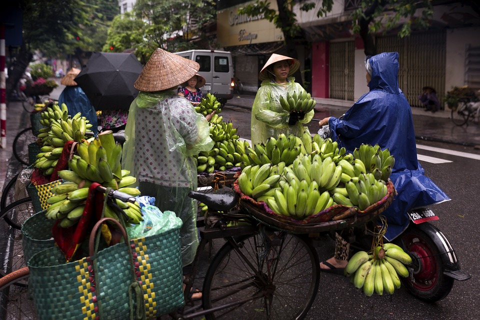 hanoi-street-food-Sensory Traveller Holidays